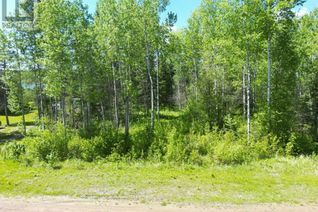 Commercial Land for Sale, 2 Branch Lake, Loon Lake, SK