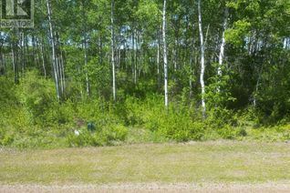 Commercial Land for Sale, 14 Branch Lake, Loon Lake, SK