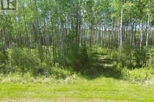 Commercial Land for Sale, 6 Branch Lake, Loon Lake, SK