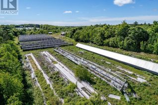 Commercial Farm for Sale, 1253 Hilltown Road, Hilltown, NS