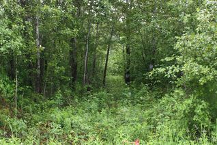 Land for Sale, 98 DE LA MONTEE RD Rd S, West Nipissing, ON