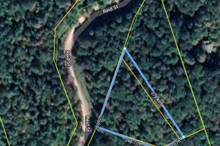 Vacant Residential Land for Sale, 0B Reid St, Galway-Cavendish and Harvey, ON