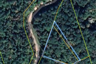 Land for Sale, 0B Reid St, Galway-Cavendish and Harvey, ON