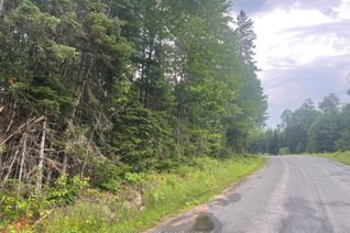 Vacant Residential Land for Sale, Lot 3-0 Hadlington Rd, Highlands East, ON