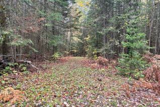 Vacant Residential Land for Sale, Lot 2-0 Hadlington Rd, Highlands East, ON