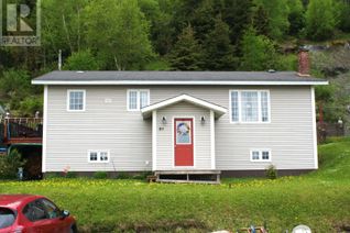 Detached House for Sale, 89 Main Street, Mount Moriah, NL