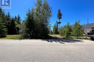 Land for Sale, 3460 Mabel Lake Place, Enderby, BC