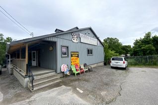 Commercial/Retail Property for Sale, 141 High St, Georgina, ON
