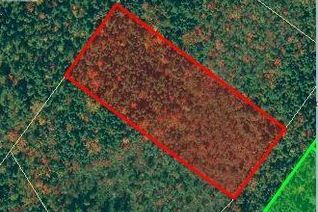 Commercial Land for Sale, Lot Bon Secours, Saint-Paul, NB