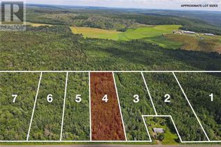 Land for Sale, Lot 2023-4 Route 617, Burtts Corner, NB