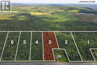 Land for Sale, Lot 2023-3 Route 617, Burtts Corner, NB