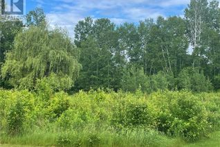 Land for Sale, Lt 7 William Street, Killaloe, ON