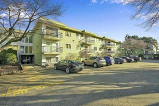 Condo Apartment for Sale, 8635 120 Street #327A, Delta, BC