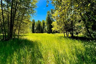 Land for Sale, 2700 14th Avenue, Castlegar, BC