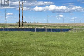 Commercial Farm for Sale, Ne Crnr Hwy 552 & Hwy 799, Rural Foothills County, AB