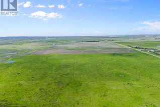 Farm for Sale, Ne Crnr Hwy 552 & Hwy 799, Rural Foothills County, AB