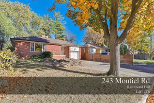 House for Rent, 243 Montiel Rd #Lower, Richmond Hill, ON