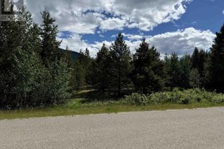 Land for Sale, Lot 2 Starview Road, Valemount, BC