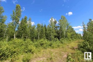 Property for Sale, Nw 20-61-22-4, Rural Thorhild County, AB