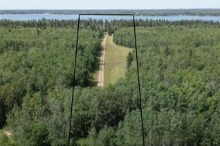 Land for Sale, Turtle Lake Evergreen Acres-19.67 Acres, Turtle Lake, SK