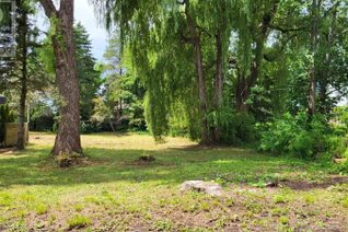 Land for Sale, Lot Pleasant Street, Canning, NS