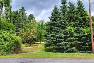 Commercial Land for Sale, Portion Of Lot Main Street, Canning, NS