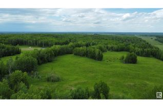 Land for Sale, Twp 363 Rr 34, Rural Wetaskiwin County, AB