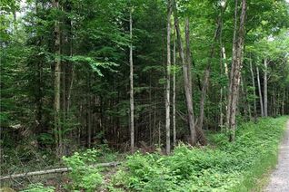 Commercial Land for Sale, 0 South Horn Lake Road, Burk's Falls, ON