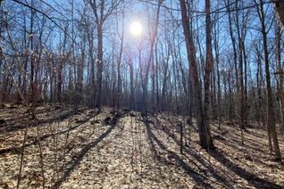 Land for Sale, 0 South Horn Lake Road, Burk's Falls, ON