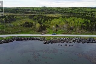 Land for Sale, 215-235 Main Street S, Carmanville South, NL