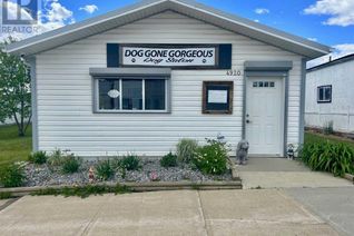 Commercial/Retail Property for Sale, 4920 50 Street, Holden, AB