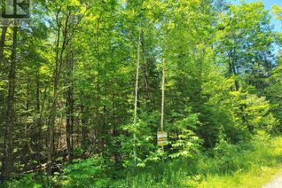 Commercial Land for Sale, 6040 Old Hastings Road S, Marmora and Lake, ON