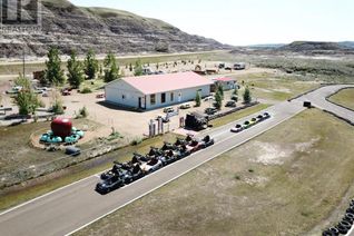 Mixed - IC&I Non-Franchise Business for Sale, Highway 838 North Dinosaur Trail, Rural Starland County, AB