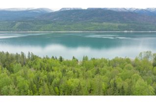 Commercial Land for Sale, 8182 Lower Inonoaklin Rd, Edgewood, BC