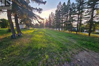Commercial Land for Sale, 320 7 Avenue Ne #7, Three Hills, AB