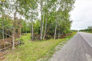 Vacant Residential Land for Sale, 791 Mount Horeb Rd, Kawartha Lakes, ON