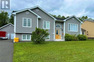 Detached House for Sale, 41 Harmsworth Drive, Grand Falls-Windsor, NL