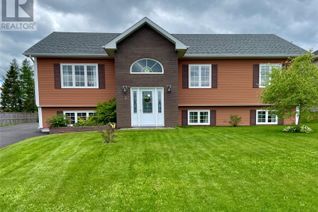 Detached House for Sale, 3 Hedges Street, Grand Falls-Windsor, NL
