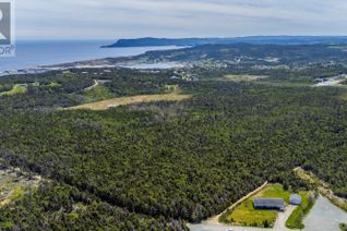 Commercial Land for Sale, 162-218 Red Head Road, Flatrock, NL