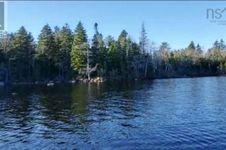 Land for Sale, Highway 12, Murphy Lake, NS