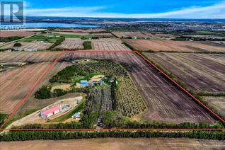 Commercial Farm for Sale, 38551 Range Road 21, Rural Red Deer County, AB