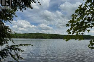 Land for Sale, 0 Tangamong Lake Road E, Marmora and Lake, ON