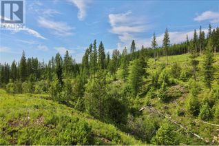 Property for Sale, 2375 Belchrome Fsr Road, Bridesville, BC