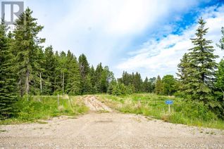 Land for Sale, 393002 Range Road 6-0, Rural Clearwater County, AB