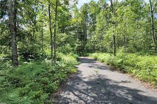 Land for Sale, 1075 Spring Lake Rd, Lake of Bays, ON