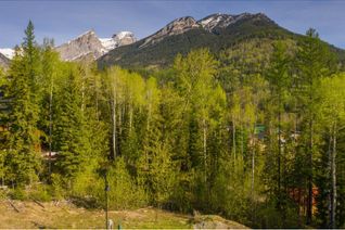 Vacant Residential Land for Sale, 9 Alpine Trail Place, Fernie, BC