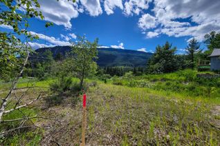 Vacant Residential Land for Sale, Lot 1 Riverview Drive, Edgewater, BC