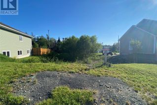 Commercial Land for Sale, 31 Carlingford Street, Paradise, NL