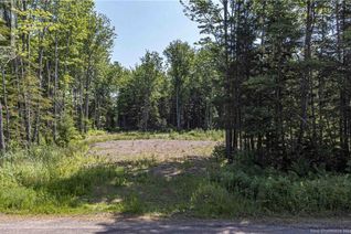 Commercial Land for Sale, Lot 2019-1 Post Road, Rusagonis, NB