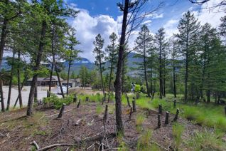 Vacant Residential Land for Sale, Lot 76 Copper Point Way, Windermere, BC